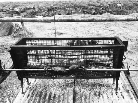 TESTCENTERAPP_PROMESSES-11